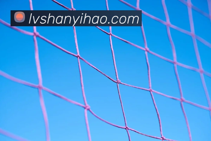 壹号娱乐发展历程